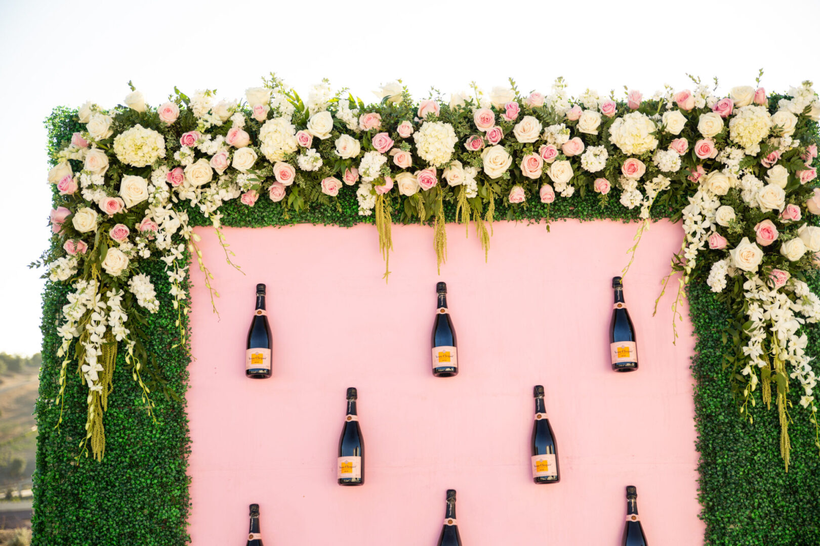 A pink wall with champagne bottles on it