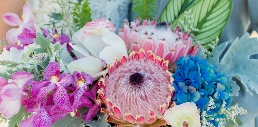 A close up of some flowers with many different colors