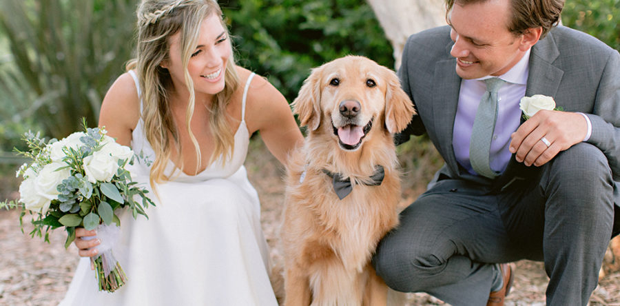 A man and woman petting a dog on the ground.