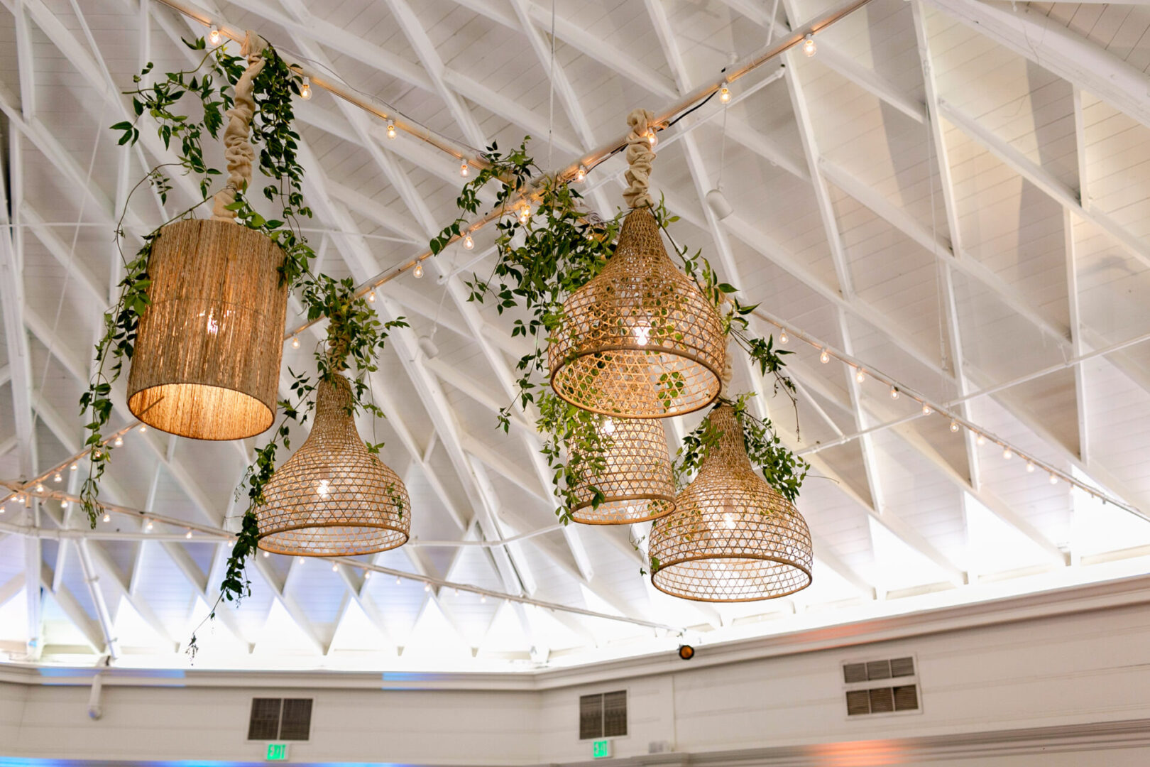 A ceiling with hanging lights and plants in it