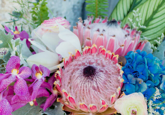 A close up of some flowers with many different colors