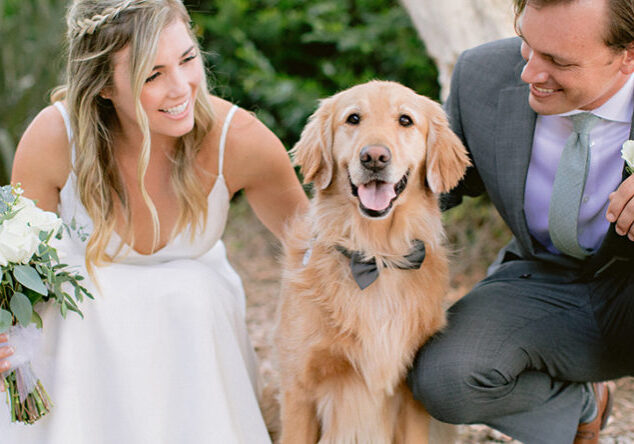 A man and woman petting a dog on the ground.